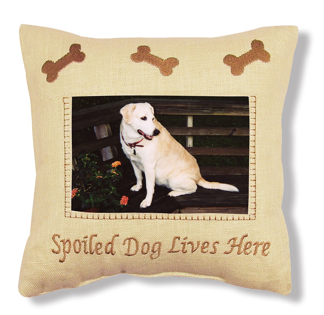 Spoiled Dog Embroidered Picture Small/Petite Accent Pillow, 10" x 10"